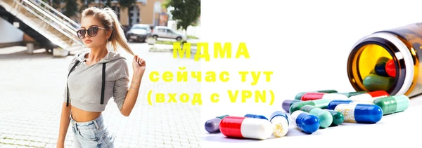 стаф Алзамай