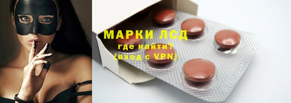 стаф Алзамай