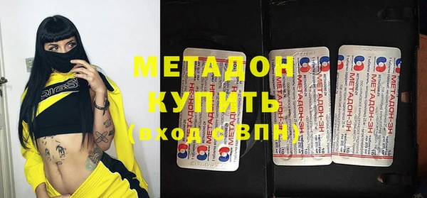 стаф Алзамай