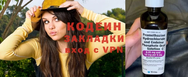 стаф Алзамай